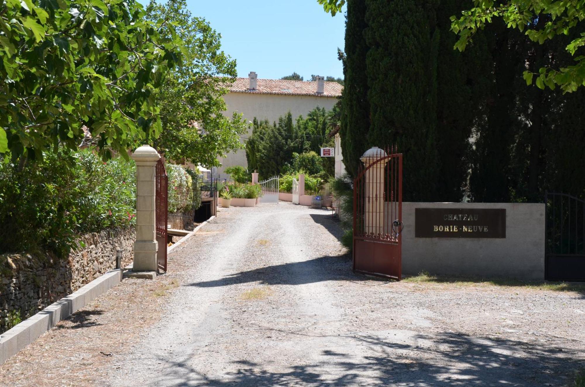 Chateau Borie Neuve Badens Exteriör bild